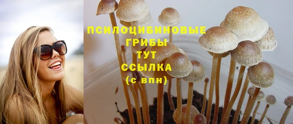 таблы Бронницы