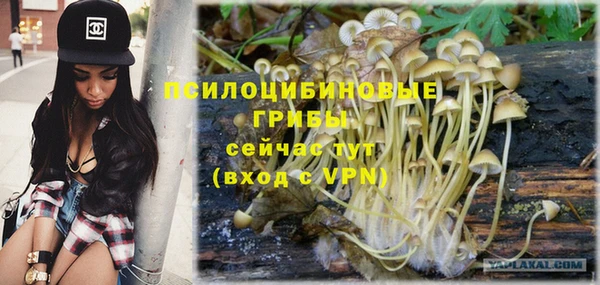 индика Беломорск