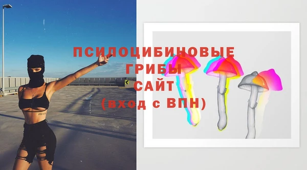 крисы Бугульма
