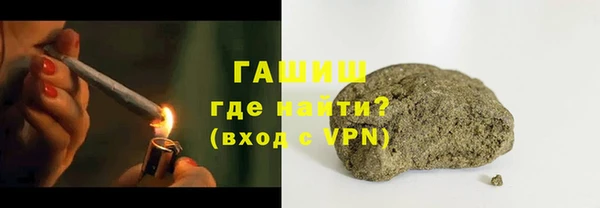 индика Беломорск
