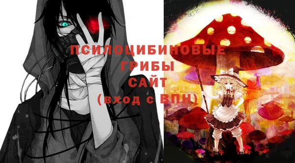 крисы Бугульма