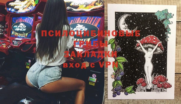 стаф Белоозёрский